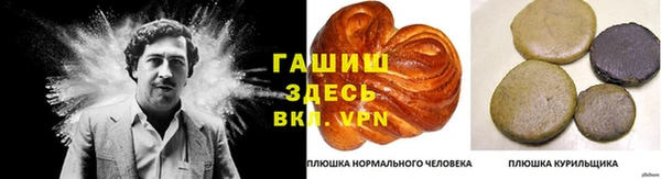 прущие крисы Зеленокумск