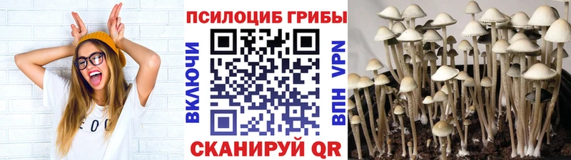 Галлюциногенные грибы мицелий  Купить где  Певек 