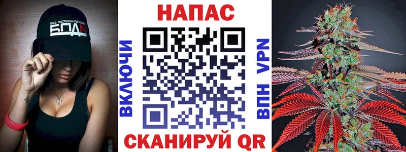 Купить  Певек  Бошки Шишки MAZAR 
